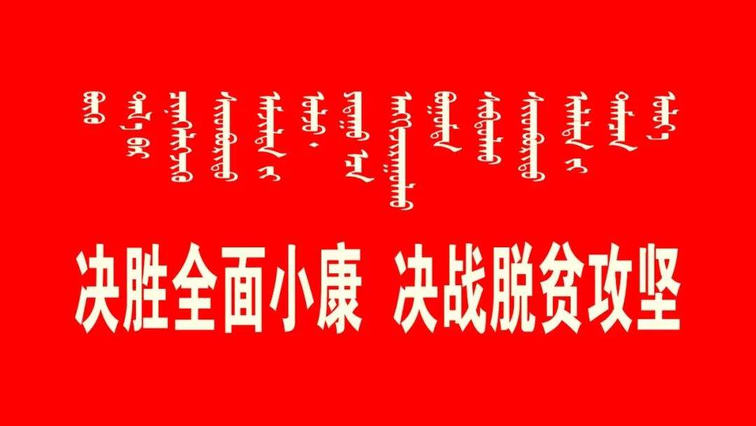 扶贫商品